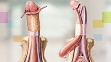 昆明生殖整形医院