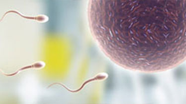 昆明男性不育医院